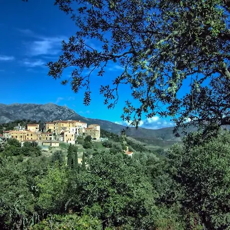 A Ghjuvellina 3* Piedigriggio